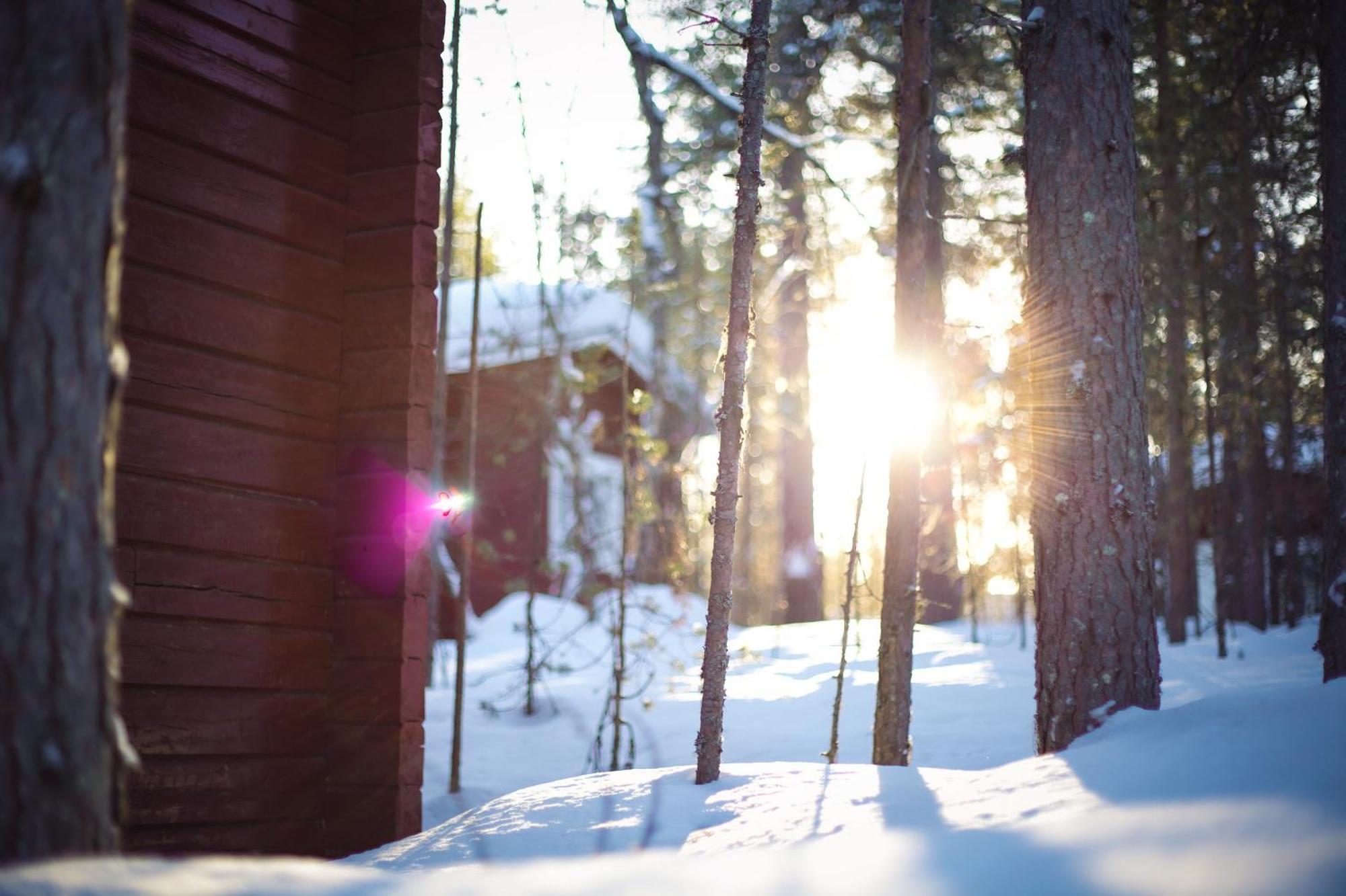 Crow Creek Cabins Inari Εξωτερικό φωτογραφία